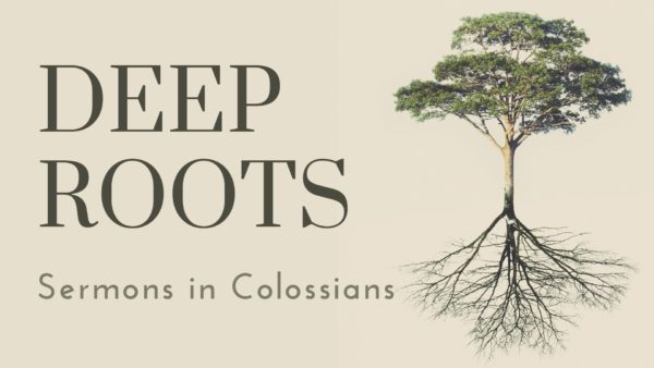 Deep Roots: Rooted in Christ Image