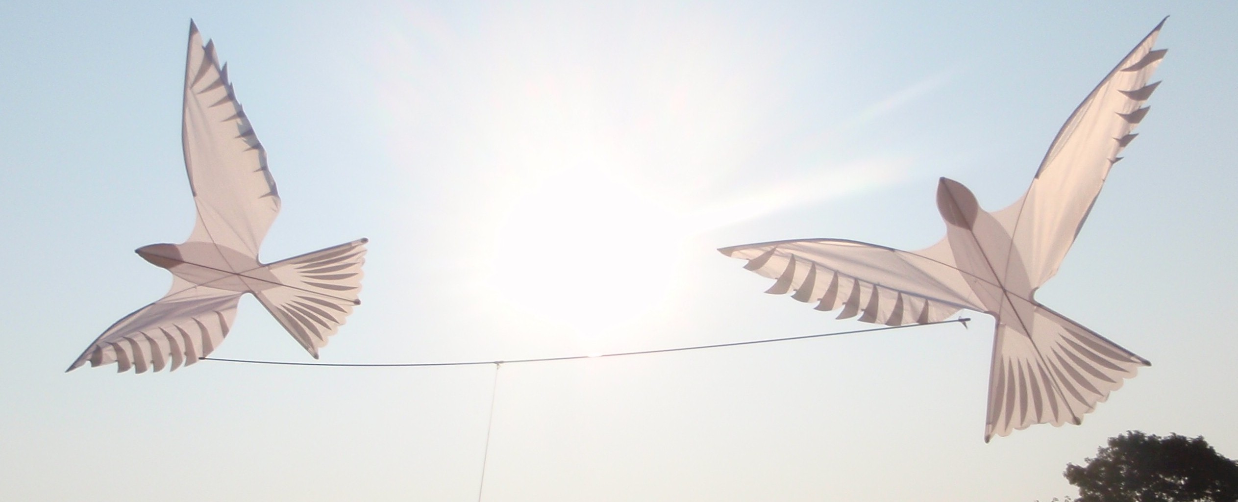 Two kites shaped like doves.